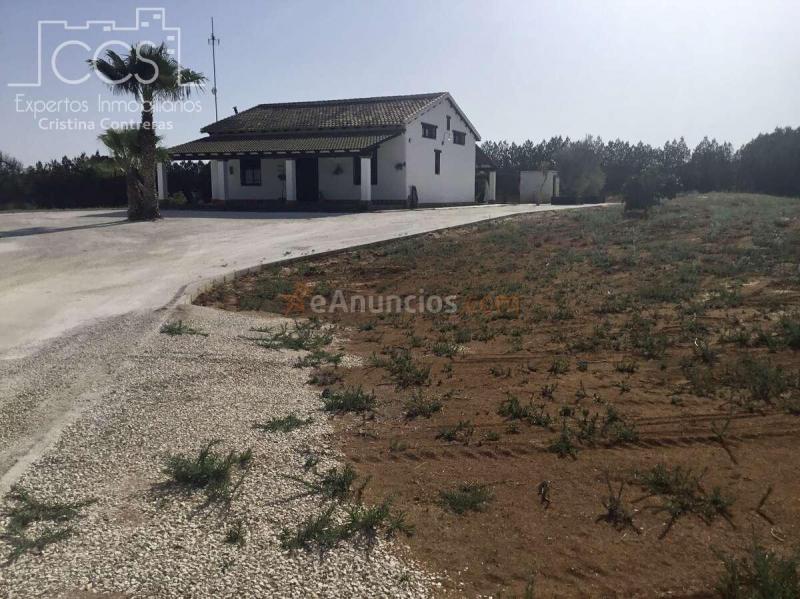 VENTA DE FINCA DE 6.008 M2 DE TERRENO CON VIVIENDA Y PISCINA EN PILAS.