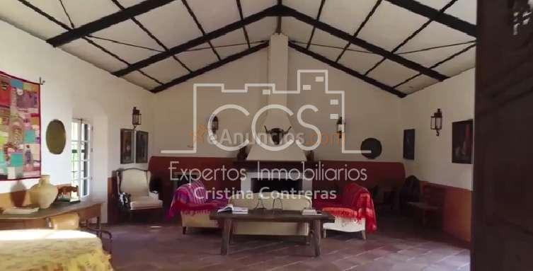 VENTA DE FINCA DE 40 HA DE OLIVAR ,TIERRA CALMA, BALSA, CORTIJO DE 1.000 M2 EN CARMONA.